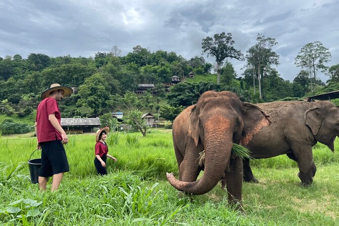 Half-Day Elephant Experience at Rantong - Getting to Ran-Tong: the half-day timing and pickup vibe