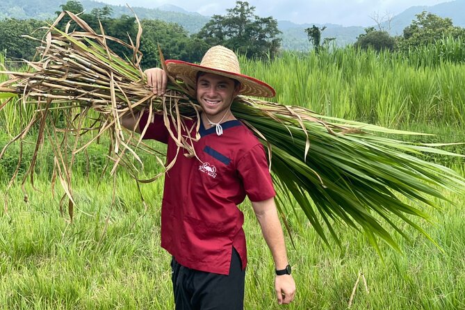 Half-Day Elephant Experience at Rantong - Ethics, elephant welfare, and how to judge the experience day-of