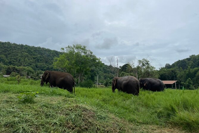 Half-Day Elephant Experience at Rantong - Karen-style clothes and the elephant school start