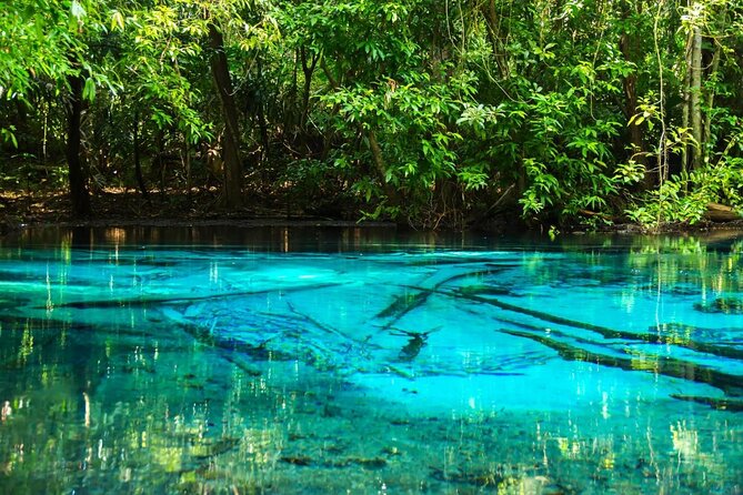 Half Day Jungle Tour to Emerald pool and Krabi Hot Spring - Key things to know before you go