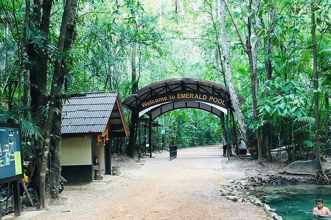 Half Day Jungle Tour to Emerald pool and Krabi Hot Spring - Stop 1: Sa Morakot (Emerald Pool) and the walk that sets the mood