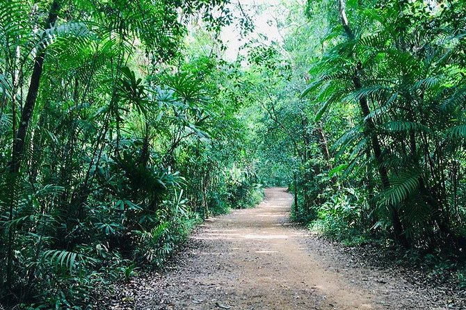 Half Day Jungle Tour to Emerald pool and Krabi Hot Spring - Stop 2: Namtok Ron hot spring waterfall near Khlong Thom