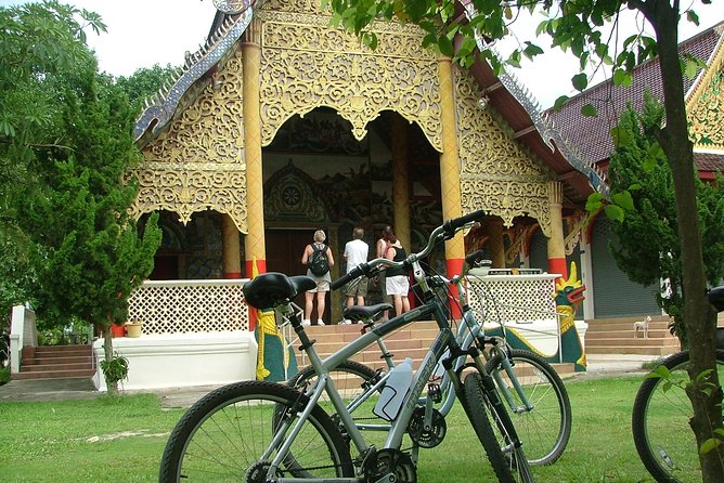 Half-Day Lanna Countryside Cycling Tour in Chiang Mai - Rice fields, wooden stilt houses, and a village school visit that changes the mood