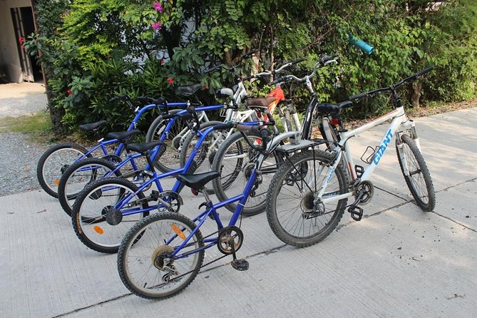 Half-Day Lanna Countryside Cycling Tour in Chiang Mai - Pacing, timing, and what to wear for a morning ride