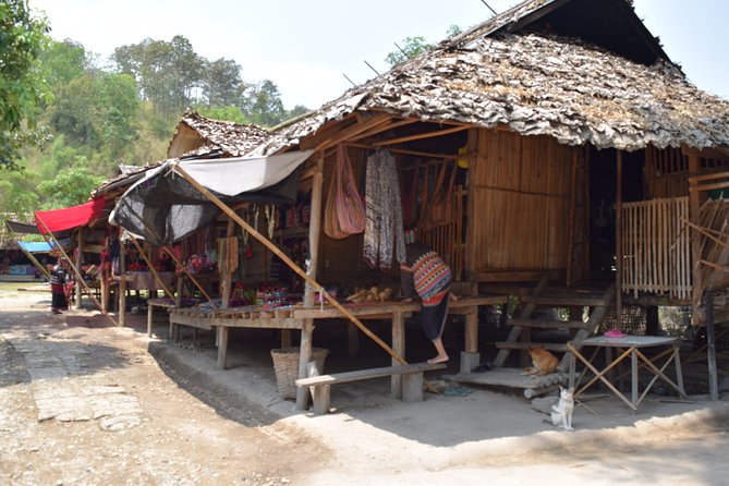 Half Day Long Neck hill tribe and Elephant POOPOOPAPER Park (Private Tour) - Price and value: why $74.22 can make sense