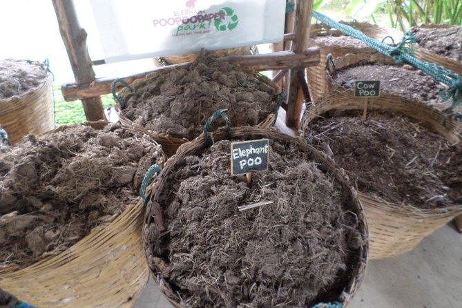 Half Day Long Neck hill tribe and Elephant POOPOOPAPER Park (Private Tour) - Elephant POOPOOPAPER Park: recycled paper made from elephant dung