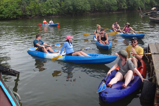 Half day Mangrove by Kayaking or Longtail boat from Koh Lanta - Thung Yee Pheng Mangrove Forest: quiet paddling in a living ecosystem