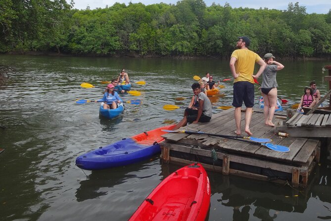 Half day Mangrove by Kayaking or Longtail boat from Koh Lanta - Monkey Point: feeding macaques and staying in control
