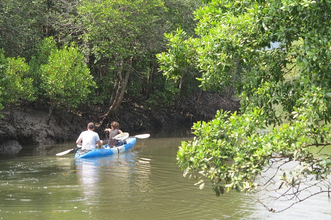 Half day Mangrove by Kayaking or Longtail boat from Koh Lanta - The full 3-hour plan: pickup, mangroves, fruit, and snacks