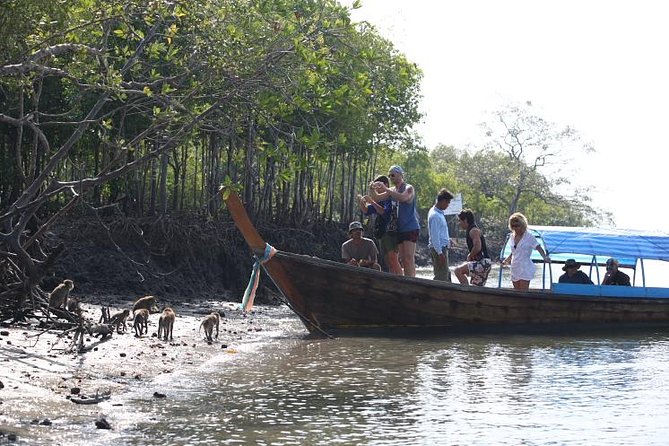 Half day Mangrove by Kayaking or Longtail boat from Koh Lanta - Who this tour suits on Koh Lanta