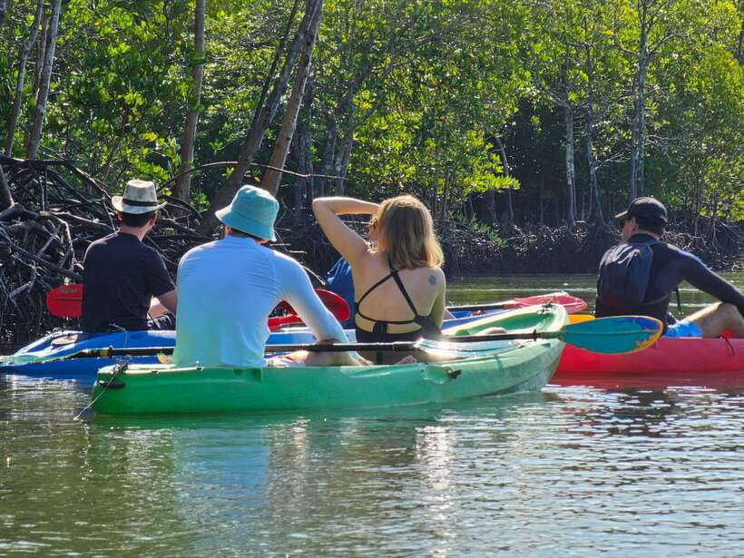 Half Day Mangrove Forest (Morning or Afternoon) - What to Bring, and How to Have a Comfortable Ride