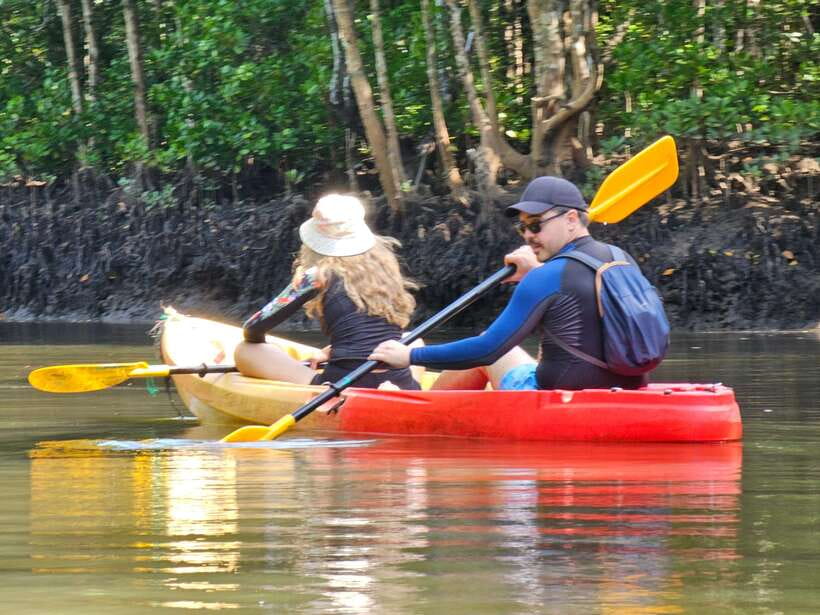 Half Day Mangrove Forest (Morning or Afternoon) - Who This Tour Is Best For, and Who Might Skip It