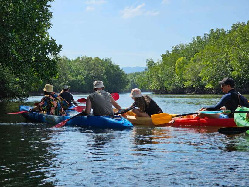 Half Day Mangrove Forest (Morning or Afternoon) - Should You Book This Mangrove Half Day?