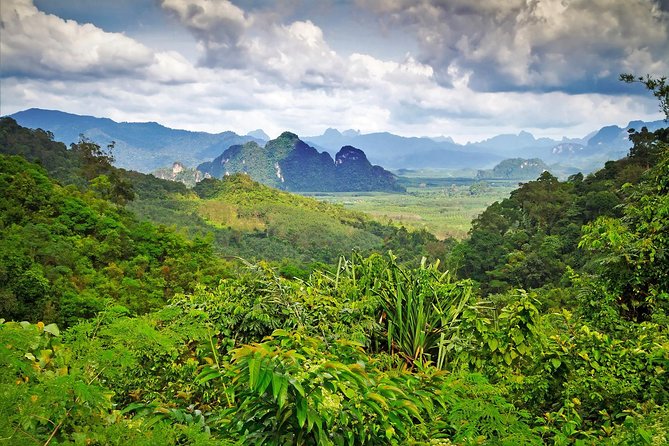 Half Day : Sok River + Monkey Temple + View Point - Khao Sok View Point: when mist turns a view into a memory