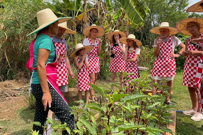 Half-Day Thai Cooking Class at Organic Farm in Chiang Mai - Key highlights at a glance