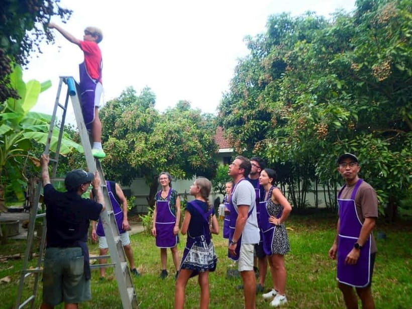 Half-Day Thai Cooking Class on a Local Farm Near Chiang Mai - Key things you will like about this farm class
