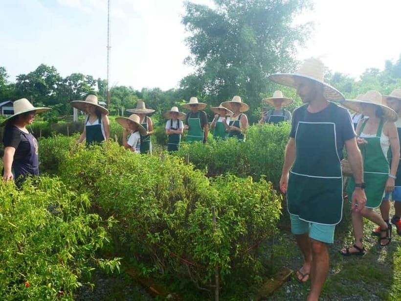 Half-Day Thai Cooking Class on a Local Farm Near Chiang Mai - Hands-on cooking workshop: from curry paste to spring rolls