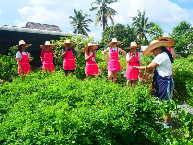 Half-Day Thai Cooking Class on a Local Farm Near Chiang Mai - Poolside chill time after you cook
