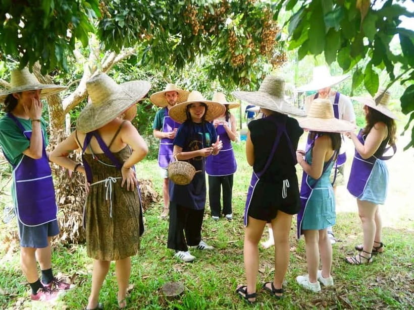 Half-Day Thai Cooking Class on a Local Farm Near Chiang Mai - Getting to the farm: how the 6 hours usually flow