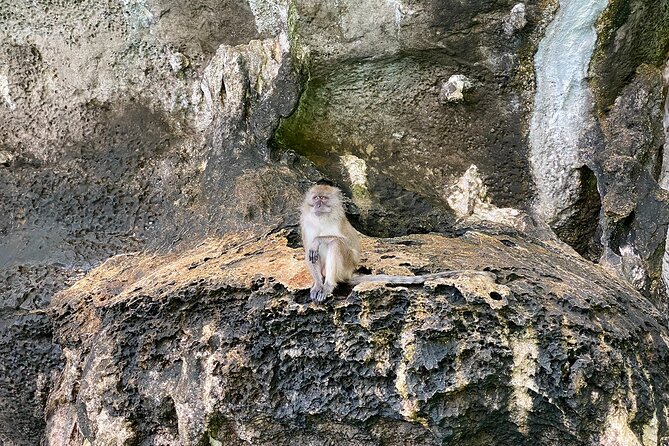 Half Day Tour Around Phi Phi Islands By Private Longtail Boat From Phi Phi - Pileh Lagoon: turquoise water and limestone walls you can actually see