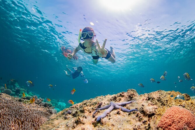 Half day Tropical Coral Island Snorkeling Tour from Phuket - Key points before you go