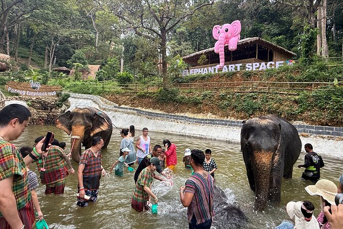 Half day with Elephants at Patong Elephant Hug （No ride No trick） - Patong Elephant Hug: a close encounter built around care first