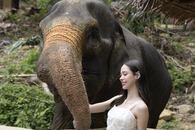 Half day with Elephants at Patong Elephant Hug （No ride No trick） - The shower and spa moments: more than a gimmick