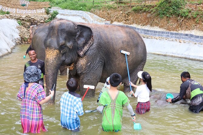 Half day with Elephants at Patong Elephant Hug （No ride No trick） - Elephant dung paper-making: an unusual Phuket craft with real-world meaning