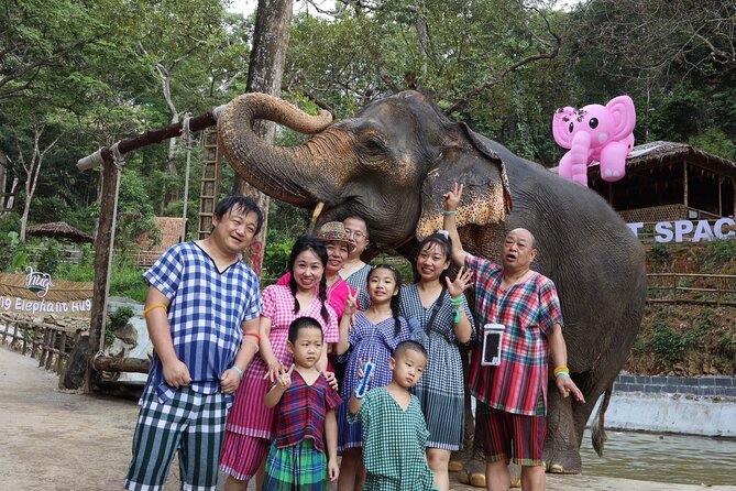 Half day with Elephants at Patong Elephant Hug （No ride No trick） - Ethics checklist for no-ride, no-trick elephant encounters