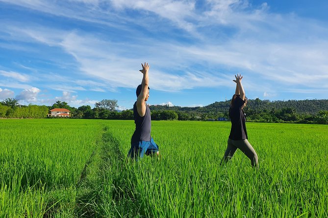 Half-Day Yoga, Meditation, and Thai Cultural Immersion in Chiang Mai - Key Highlights Worth Planning For