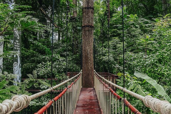 Hanuman World Zipline & Skywalk Phuket - The zipline run: 10, 18, or 32 platforms over Phuket and the Andaman Sea