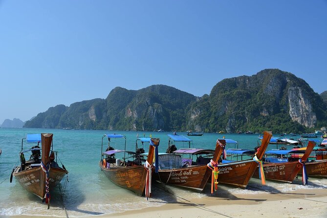 Highlights of Phi Phi Islands - Why this Phi Phi half-day tour feels like a real highlights circuit