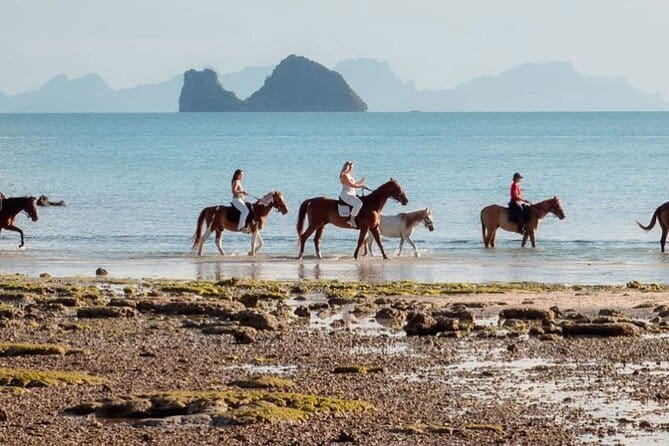 Horse Riding and Beach Trails on Koh Samui - Your 1-hour flow: check-in, garden paths, then beach trails