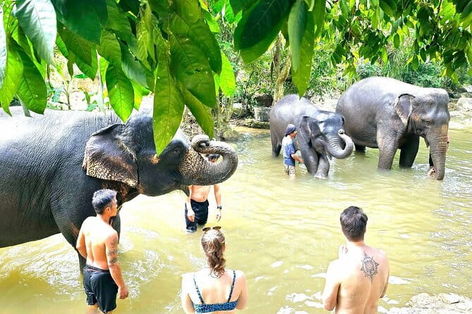 Horse Riding and Beach Trails on Koh Samui - Timing on Koh Samui: sunrise or sunset changes the whole feel