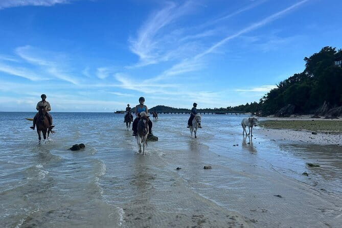 Horse Riding and Beach Trails on Koh Samui - Who this Koh Samui horse ride is best for