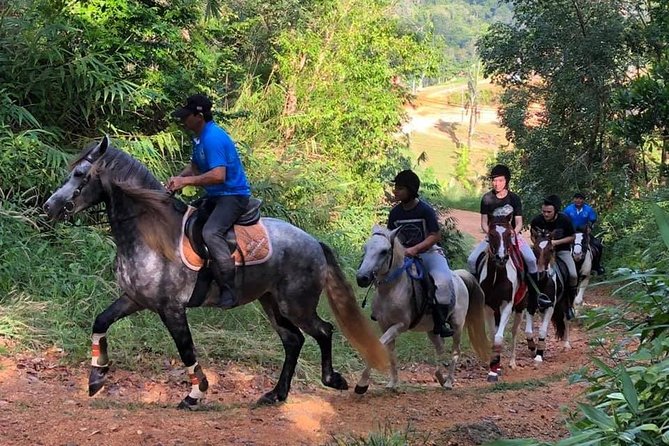 Horseback Riding 1 hour trail - Quick reasons you will like this 1 hour Chalong ride