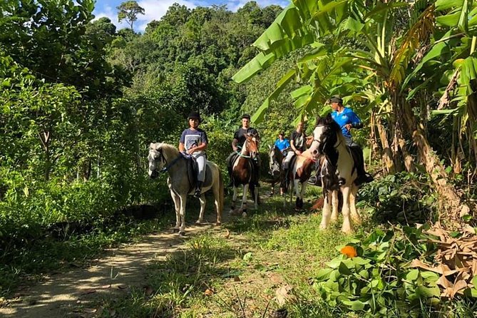 Horseback Riding 1 hour trail - Returning to the stable: what the horse care reputation means for you