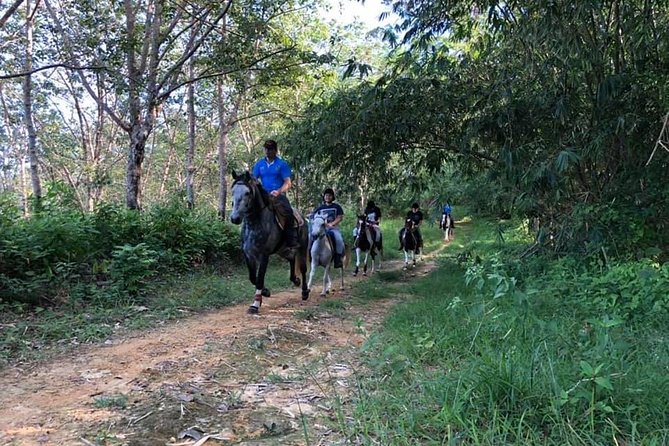 Horseback Riding 1 hour trail - Meeting at Chalong and the briefing that makes you confident