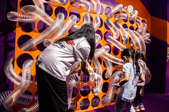 Interactive Amusement and Science theme park for all Ages - Key Highlights to Look For at WOW Park