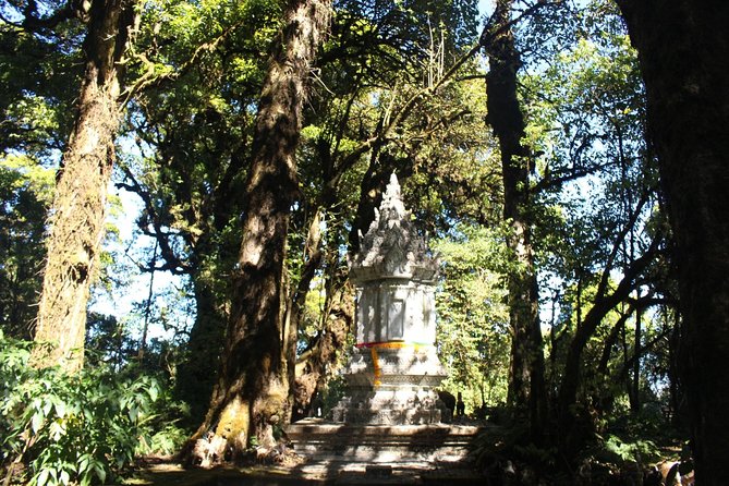 Inthanon Day Trip from Chiang Mai with Lunch - Group or Private - Ang Ka Nature Trail: short walk, big payoff