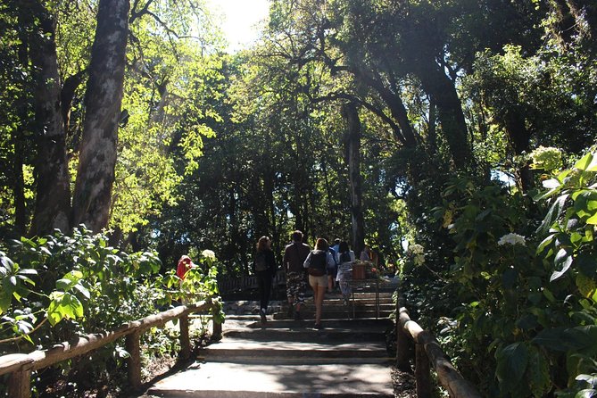 Inthanon Day Trip from Chiang Mai with Lunch - Group or Private - Ban Mae Klang Luang: Karen Hill Tribe village and coffee