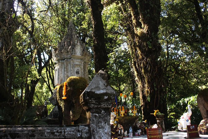 Inthanon Day Trip from Chiang Mai with Lunch - Group or Private - Wachirathan Falls: the best kind of short stop
