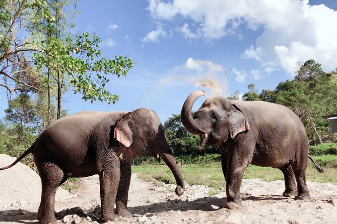 Inthanon Heaven Trail(Living Green Elephant Sanctuary) - How to Pack Smart for Elephants and Jungle Walking