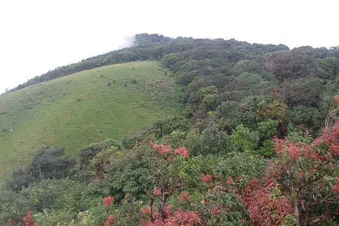 Inthanon Small-Group with Kew Mae Pan Trail from Chiang Mai include Lunch - Why Doi Inthanon, and why the Kew Mae Pan Trail matters