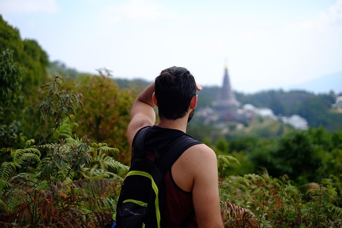 Inthanon Small-Group with Kew Mae Pan Trail from Chiang Mai include Lunch - Kew Mae Pan Nature Trail: forests, rhododendrons, and bird-spotting
