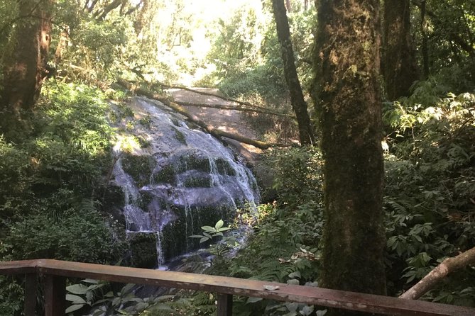 Inthanon Small-Group with Kew Mae Pan Trail from Chiang Mai include Lunch - Summit day at Doi Inthanon, Angka Luang Natural Trail, and shrine views