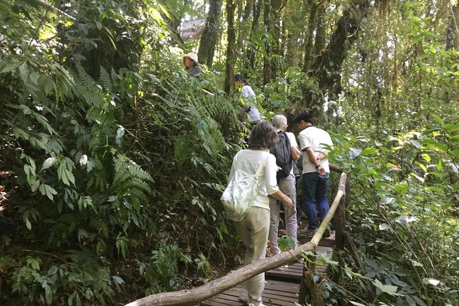 Inthanon Small-Group with Kew Mae Pan Trail from Chiang Mai include Lunch - Price and logistics: what your $113.39 is really buying