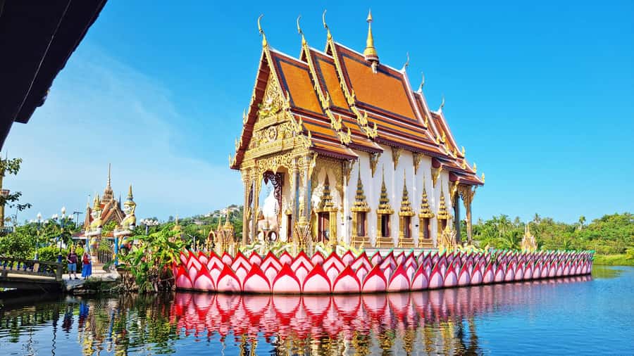 ISLAND TOUR ECO AROUND KOH SAMUI HALF DAY RARE SIGHTSEEING - Mummified monk at Wat Khunaram: Luong Pordaeng in glass, up close