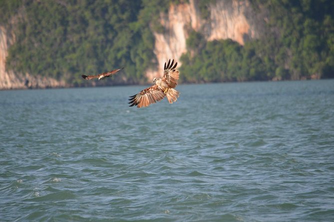 John Gray's Adventure Hong by Starlight in Phang Nga Bay - Price and what you really get for $128.17