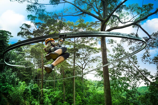 Jungle Flight Zipline Roller Coaster - Quick hits on Jungle Flight (what makes it memorable)